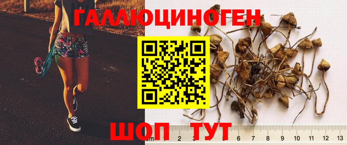 Галлюциногенные грибы ЛСД  Вход с VPN  Новочеркасск 